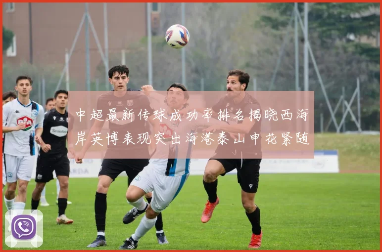 中超最新传球成功率排名揭晓西海岸英博表现突出海港泰山申花紧随其后
